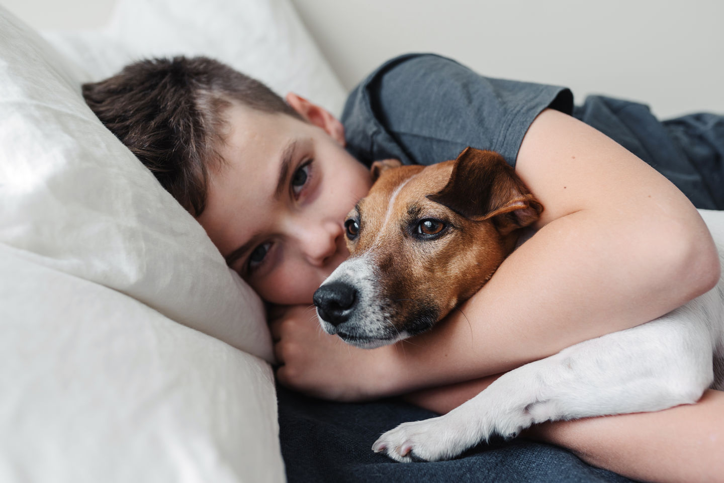 Tiergestützte Therapie: Ein Jugendlicher liegt im Bett und umarmt einen Jack-Russel-Terrier. Foto: © ipolonina/iStock/Getty Images Plus